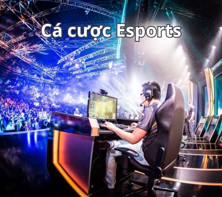 cá cược esports
