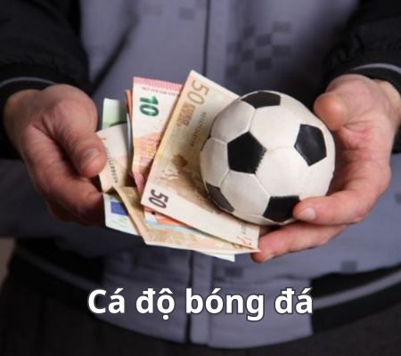 cá độ bóng đá