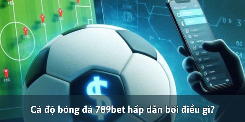 Cá độ bóng đá 789bet hấp dẫn bởi điều gì?