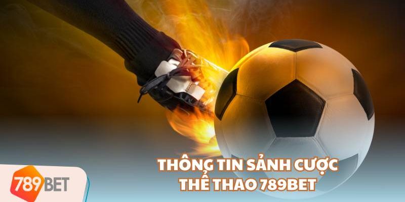 Giới thiệu sơ lược về sảnh thể thao 789Bet