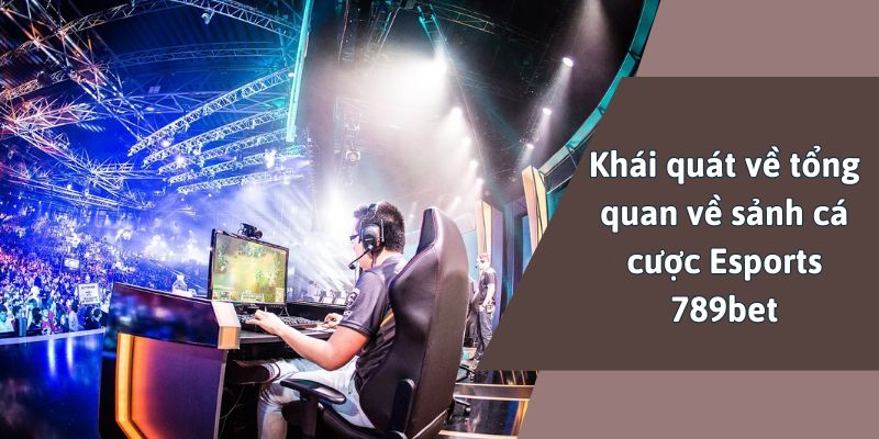 Khái quát về tổng quan về sảnh cá cược Esports 789bet