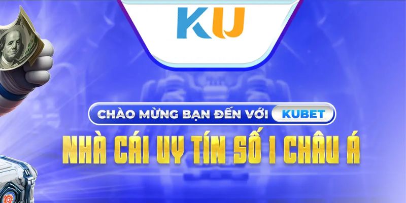 Thương hiệu cam kết uy tín, được cung cấp chứng chỉ hợp pháp