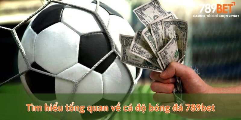 Tìm hiểu tổng quan về cá độ bóng đá 789bet